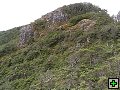 thn_NZ leden-unor 2006 176.jpg